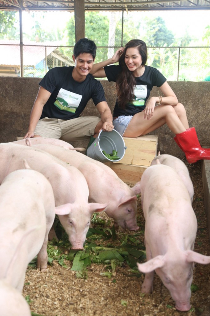 Healthy Options organic pigs live comfortably, in a stress-free environment that lets them exhibit natural instincts like rooting or scratching. They are raised without antibiotics or growth hormones.