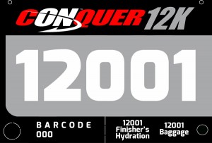 12k-bib_platinum